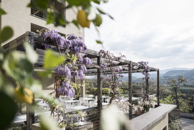 Terrasse mit Seeblick